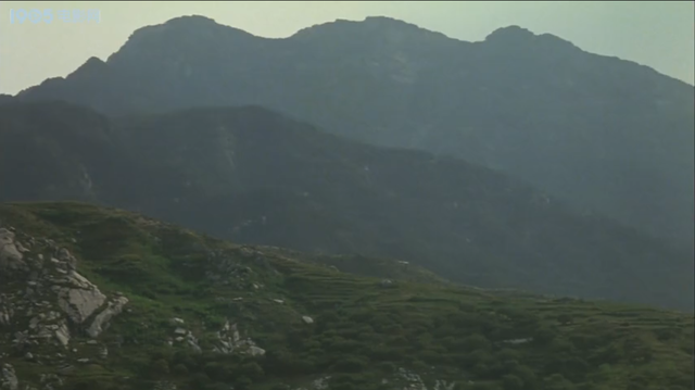 成在人线AV无码免费看网站直播:15-17-18-29-31-49Q：48,探索成人直播娱乐的新领域，在线观看成人直播网站体验分享