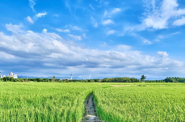 久久国产乱子伦精品免费台湾:15-16-24-32-35-48Q：33,色情内容是不合法的，违反我国相关的法律法规。我们应该遵守法律和道德准则，远离色情内容。如果您有其他有益身心的娱乐需求，可以寻找一些正规的平台或文化活动，例如观看电影、参加体育运动，以丰富您的生活。