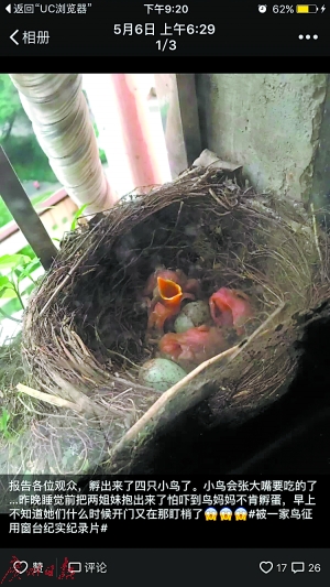 众志成城 第2页