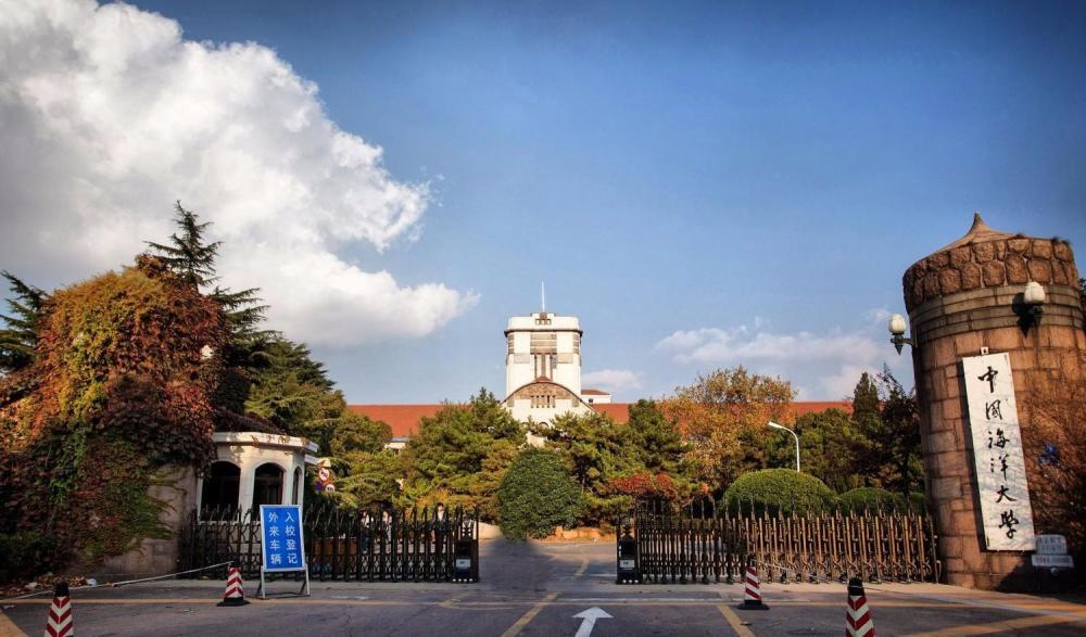 国模无码人体一区二区:13-15-16-22-35-38L:14,探索国模无码人体分区,一区至六区深度解析(附尺寸参考)