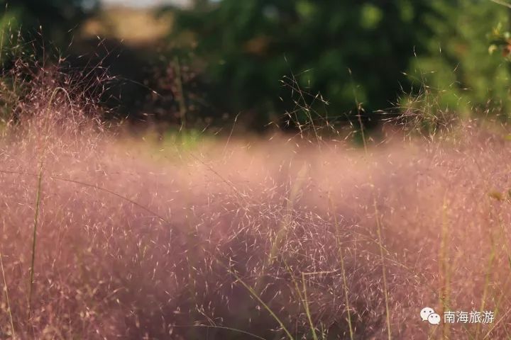 一区二区乱子伦在线播放:08-11-24-30-35-41T：46,一区二区乱子伦在线播放，探索伦理边界与多元文化的深度对话