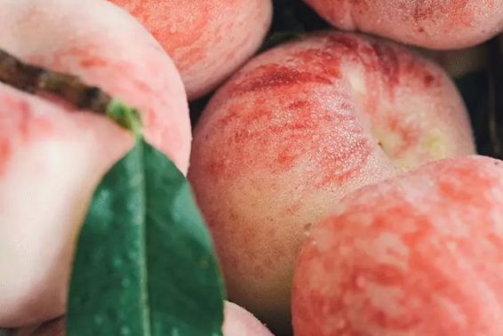 精品人伦一区二区三区蜜桃:14-19-21-35-40-43R：45,探索精品人伦，一区、二区与三区蜜桃的独特韵味