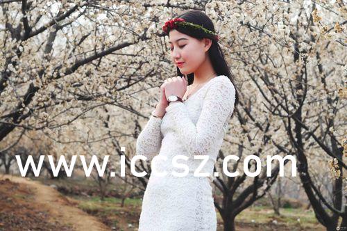 青娱乐福利在线2:02-09-26-31-45-49D：23,青娱乐福利在线，探索数字时代的文化盛宴