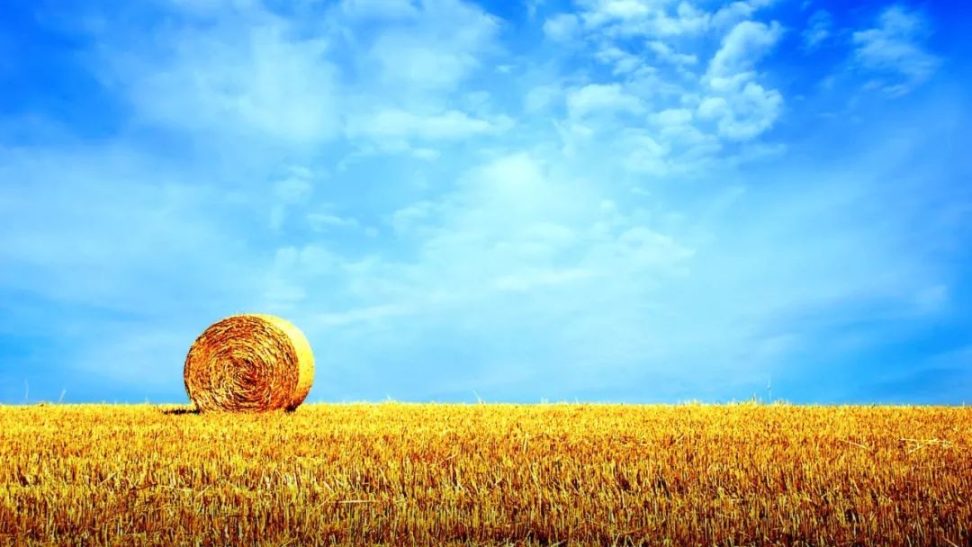 国产乱子轮XXX农村:10-15-19-25-36-49Z：07,国产乱子轮XXX农村，数字背后的深度解读与探索（2023年报告）