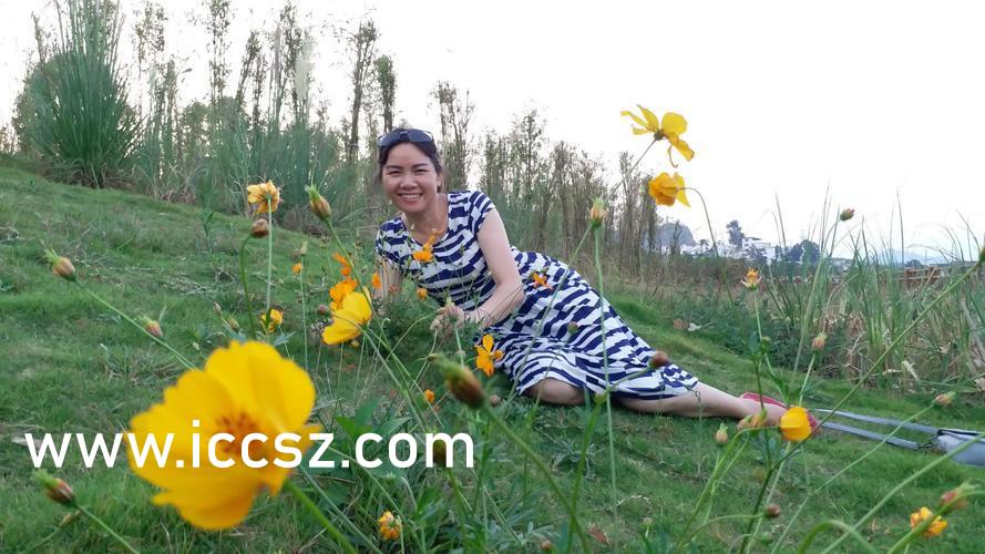 日韩AV高清在线观看:10-19-22-27-28-40R:36,日韩AV高清在线观看,探索数字背后的娱乐世界