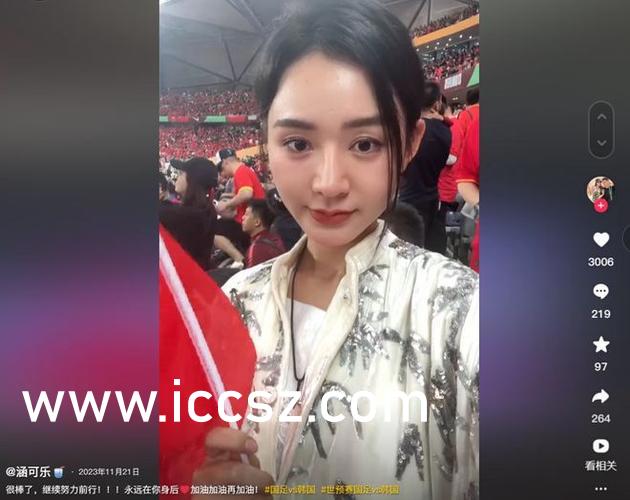 中文字幕AV不卡电影网:10-17-20-26-29-38S:13,关于中文字幕AV不卡电影网的探索与体验,深度解析其特色与优势