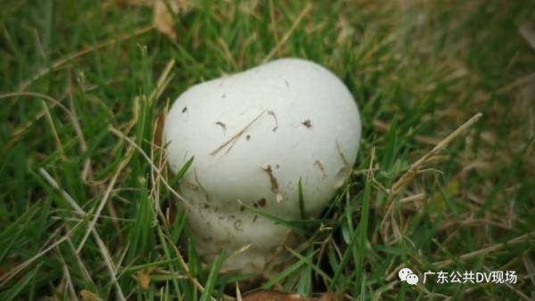 国产乱人激情H在线观看:16-19-31-38-46-48Q:16,国产乱人激情H在线观看的魅力与探索