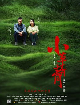 青青小草国产在线播放:03-05-13-18-31-33K：25,青青小草国产在线播放，探索自然之美与数字时代的交融