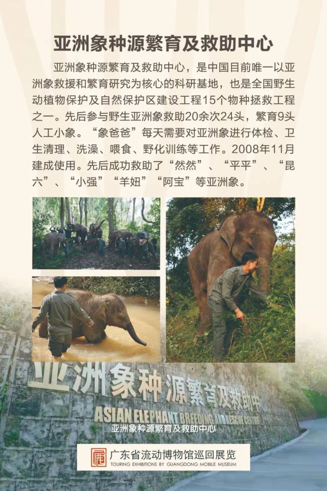 亚洲精品成人网站在线:02-11-12-14-35-47C：34,探索亚洲精品成人网站，一场在线的奇妙旅程（02-11-12-14-35-47C，34）