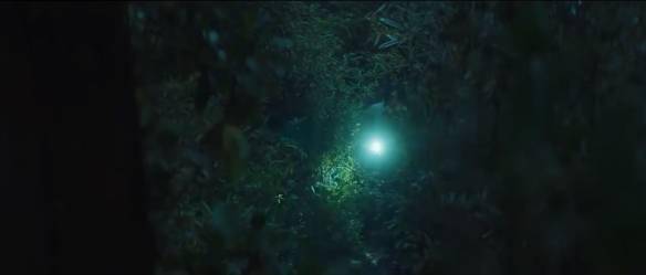 宅女午夜福利免费视频:03-05-13-28-35-38V:17,宅女午夜福利,探索免费视频的新世界 03-05-13-28-35-38V的独特魅力与探索之旅