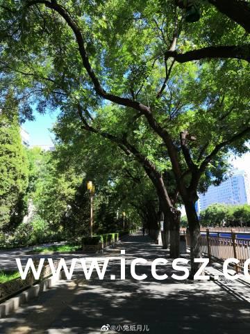 杯弓蛇影 第2页