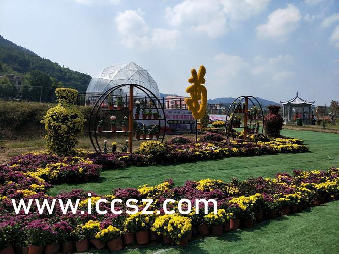 少妇被粗大的猛烈进出96影院:14-24-30-35-43-46D：47,探索数字背后的故事，在96影院中的一次特殊经历