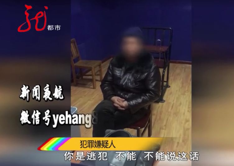 免费看又黄又爽又猛的视频:11-16-27-28-31-47N：37,探索热门视频世界，免费观看精彩内容的指南