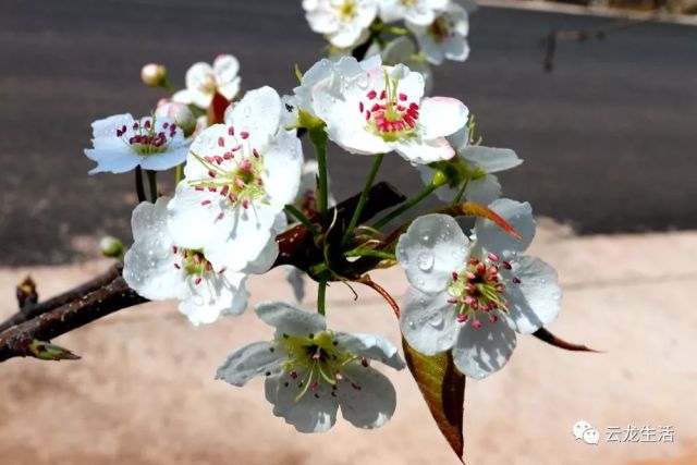 五月丁香六月综合缴情基地:01-10-12-15-22-46N:21,五月丁香与六月综合缴情基地,探索数字时代的情感交汇点