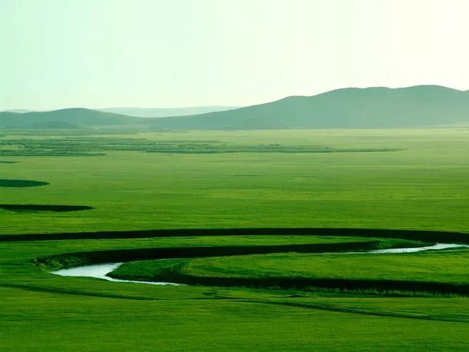 青青草原综合久久大伊人精品:03-13-24-32-34-44Q：48,青青草原的综合魅力与伊人精品的独特风采