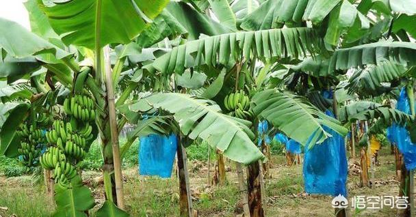 2025年4月14日 第7页