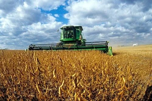 国产乡下三级全黄三级:09-12-14-33-38-42Y:36,国产影视产业中的乡土风情与三级文化现象,深度解读与反思(关键词,国产乡下三级全黄三级)