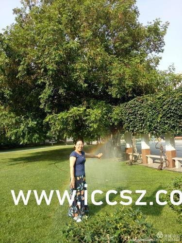 久久国产乱子伦精品免费乳及:04-20-29-39-41-46J：09,久久国产乱子伦精品，探索免费乳系列与数字背后的故事