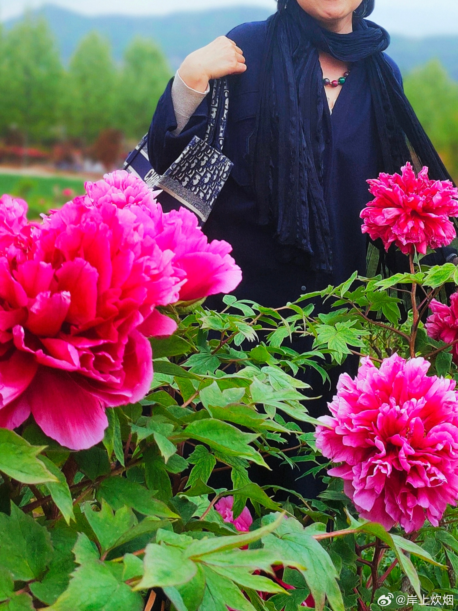 亚1州区2区3区4区产品国色天香:25-31-32-34-45-48U：38,亚一州区二三四区产品国色天香，探寻独特魅力与多元文化融合之美