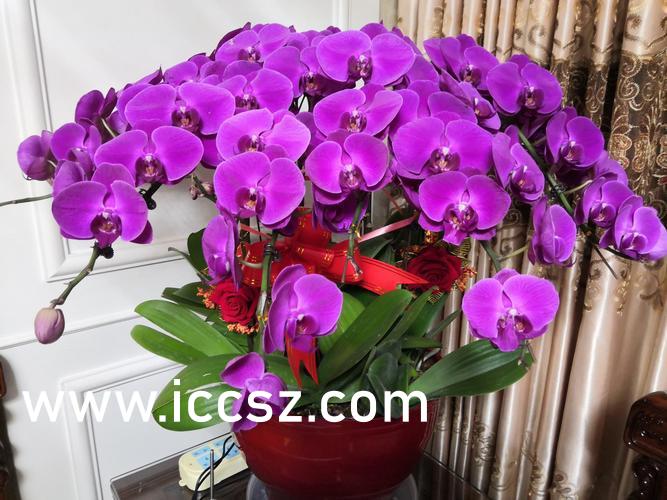 2025年4月16日 第3页