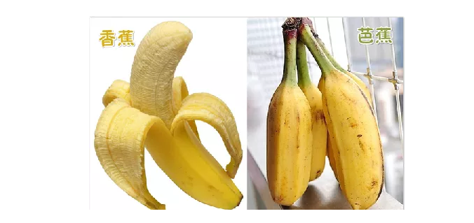 国产碰在79香蕉人人澡人人看喊:01-10-12-28-31-37J：05,国产影视产业的蓬勃发展与探索，以国产碰在79香蕉人人澡人人看为例