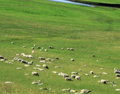 亚洲高清国产av拍精品青青草原:03-07-11-26-27-31B:02,青青草原上的高清国产精品影像艺术之旅