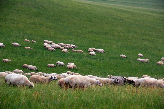 亚洲高清国产av拍精品青青草原:03-07-11-26-27-31B:02,青青草原上的高清国产精品影像艺术之旅