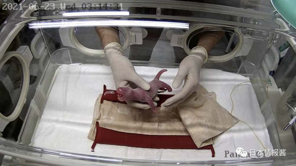 韩国产三级三级香港三级日本三级:11-22-23-25-34-36J：36,探索亚洲影视产业，韩国、香港、日本三级电影的演变与对比（11-22-23-25-34-36J，36）