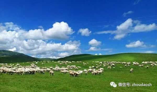 亚洲精品一区二区三区老牛吃嫩草:10-15-19-25-36-49Z:07,亚洲文化中的老牛吃嫩草现象,深度解析与探讨