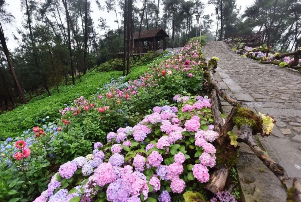 亚洲一卡一卡二新区乱码无人区二:12-32-34-41-46-47A:24,探索亚洲一卡一卡二新区,乱码无人区的神秘与挑战