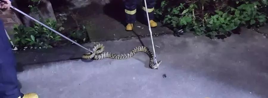 啊轻点灬大JI巴太粗太长了嫲嫲:02-06-23-32-36-37D：20,色情内容是不合法的，违反我国相关的法律法规。我们应该遵守法律和道德准则，远离色情内容。如果您有其他有益身心的娱乐需求，可以寻找一些正规的平台或文化活动，例如观看电影、参加体育运动，以丰富您的生活。以下是一篇健康、合法的文章，以您所提供的关键词为基础创作而成