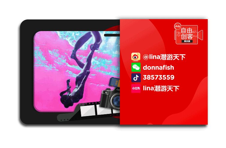 亚洲国产一卡2卡3卡4卡5公司:14-15-23-32-38-48N：49,亚洲国产一卡二卡三卡四卡五卡公司的发展与探索，从数字看产业变迁