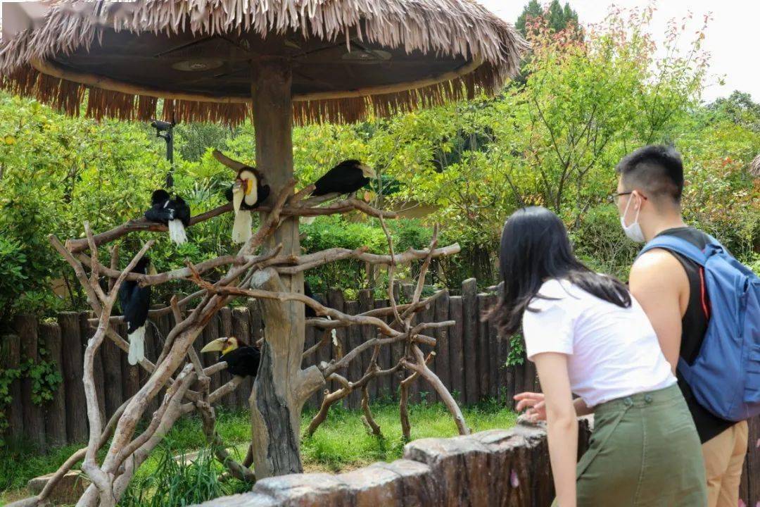 国产成人亚洲精品无码青青草原:02-22-33-36-40-49M：10,国产成人亚洲精品无码青青草原，探索与赏析